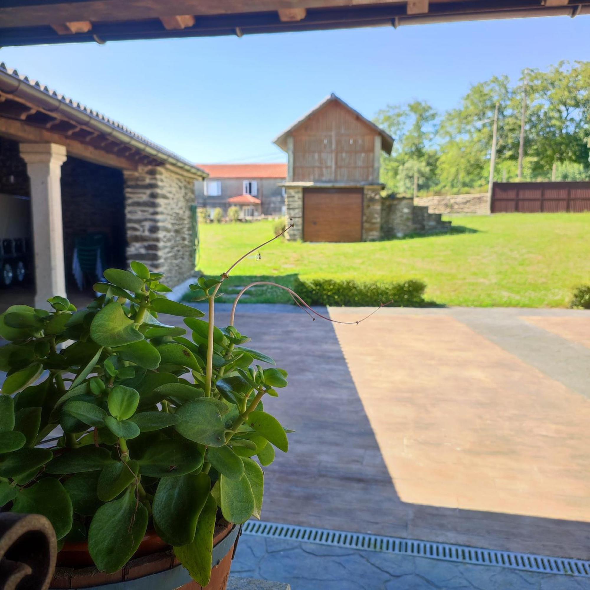 O Lar Da Crega Villa O Pino ภายนอก รูปภาพ